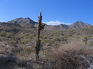 photo thumbnail #9