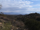 photo thumbnail #10