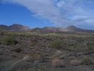 photo thumbnail #13
