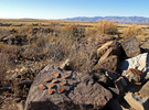photo thumbnail #5