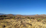 photo thumbnail #11