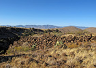 photo thumbnail #12