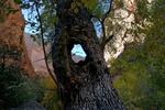 photo thumbnail #2