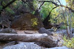 photo thumbnail #8