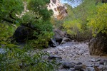 photo thumbnail #9