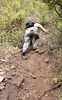 photo thumbnail #6