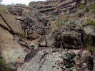 photo thumbnail #6