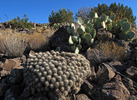 photo thumbnail #2
