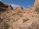 photo thumbnail #8