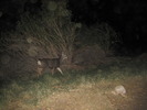photo thumbnail #15
