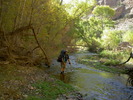 photo thumbnail #6