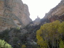 photo thumbnail #15