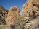 photo thumbnail #4