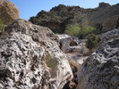 photo thumbnail #13