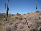 photo thumbnail #3