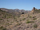 photo thumbnail #7