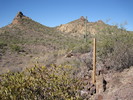 photo thumbnail #8