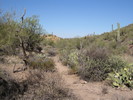 photo thumbnail #9