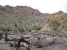 photo thumbnail #10