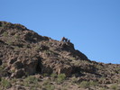 photo thumbnail #11