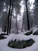 photo thumbnail #9