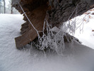 photo thumbnail #10