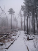 photo thumbnail #14