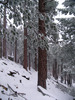 photo thumbnail #15