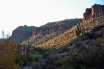 photo thumbnail #9