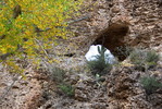 photo thumbnail #10