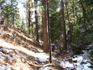 photo thumbnail #1