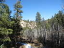 photo thumbnail #2