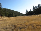photo thumbnail #3