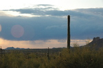 photo thumbnail #10