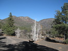 photo thumbnail #1
