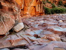 photo thumbnail #8