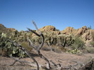 photo thumbnail #2
