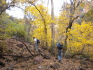 photo thumbnail #2