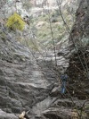 photo thumbnail #7