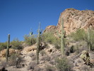 photo thumbnail #5