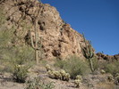 photo thumbnail #6