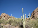 photo thumbnail #7