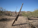photo thumbnail #9
