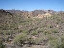 photo thumbnail #10