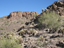 photo thumbnail #12