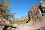 photo thumbnail #3