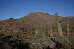 photo thumbnail #1
