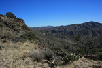 photo thumbnail #13