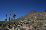 photo thumbnail #15