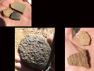 photo thumbnail #8